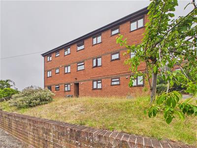 Picture 28